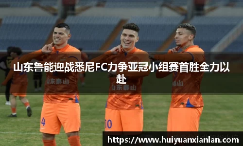 山东鲁能迎战悉尼FC力争亚冠小组赛首胜全力以赴